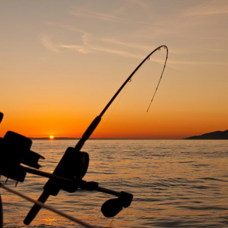 Visgids Dutch Fishing Experience Vissershengel silhouet tegen een zonsondergang boven het water.